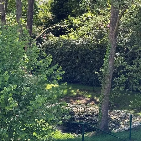 아파트 Eichenblick 바트즈위스케나흔