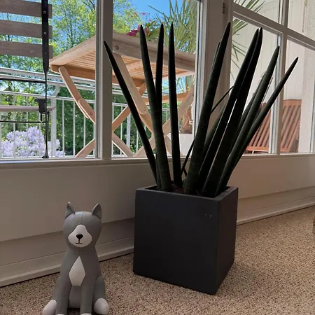 Eichenblick Apartamento Bad Zwischenahn